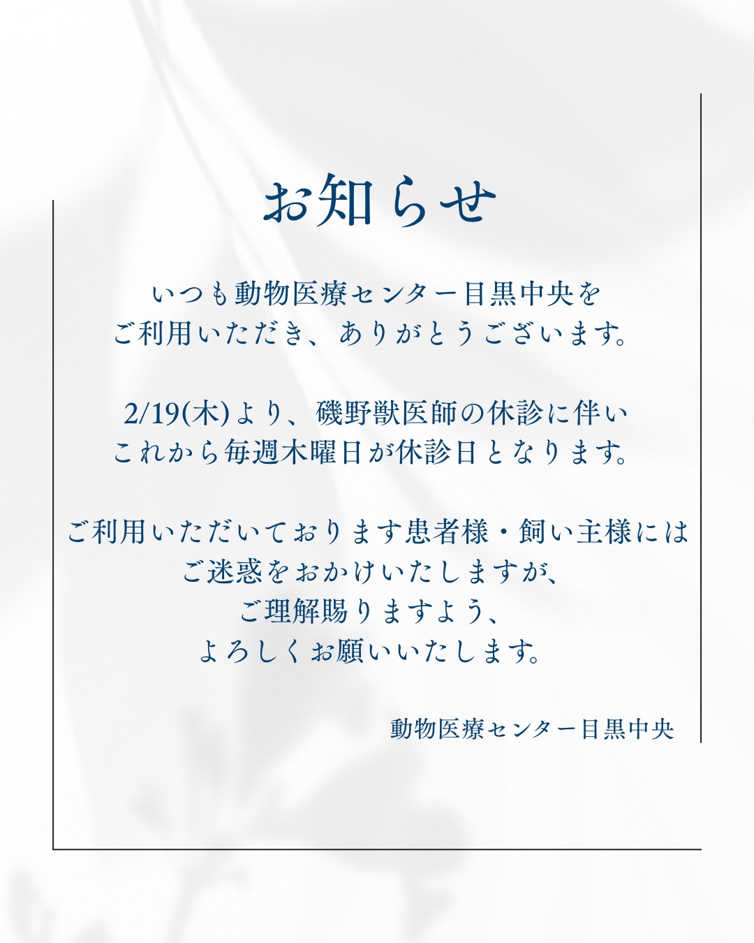 お知らせの写真